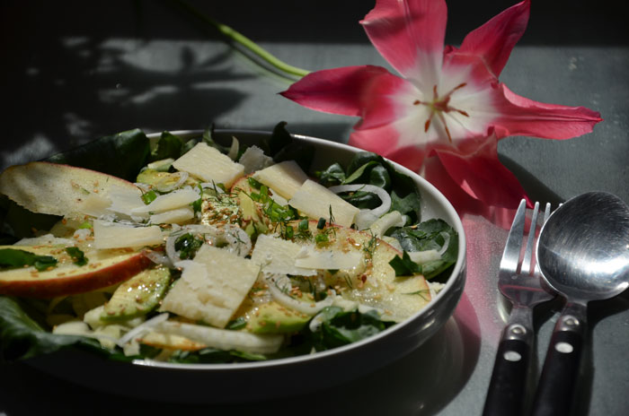 salade-cresson-fenouil-avocat-pomme-parmesan_0466